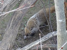 Tiergarten Schönbrunn am 23.03.2023